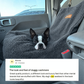 Teddy Car Bed ( 1+1 )
