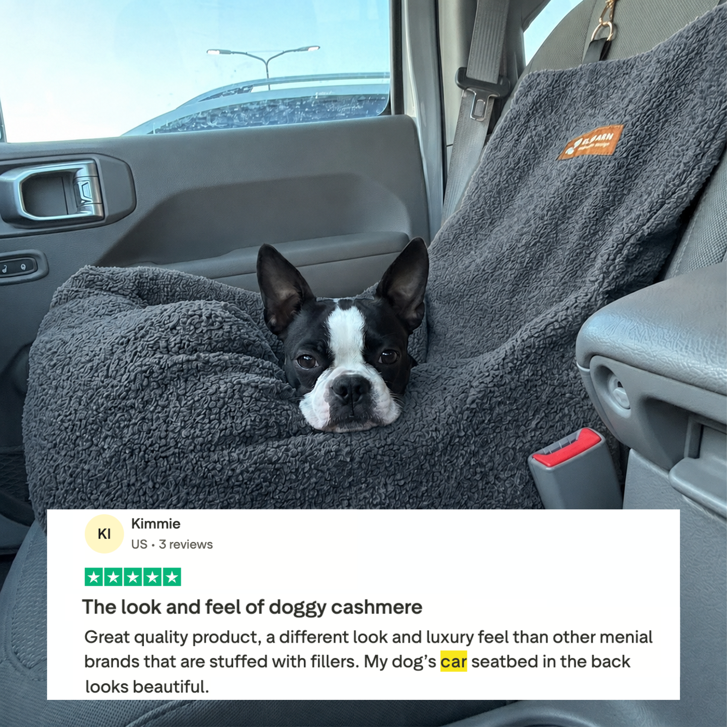 Teddy Car Bed ( 1+1 )