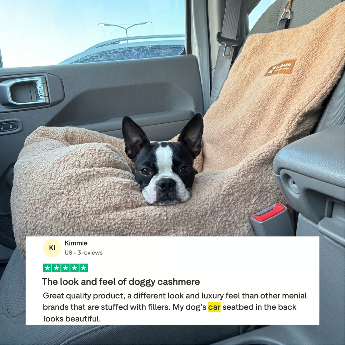 Teddy Car Bed
