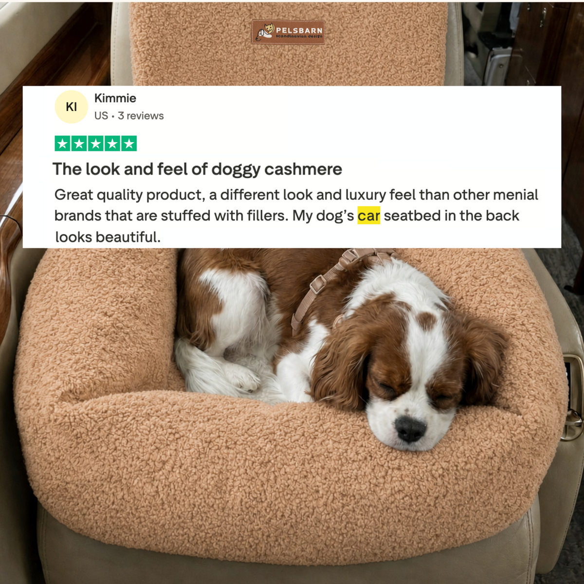 Teddy Car Bed