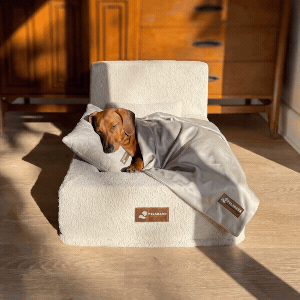 Ready for Dream Bed