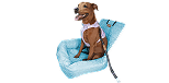 Car Beds