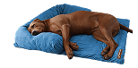 Sofa Beds
