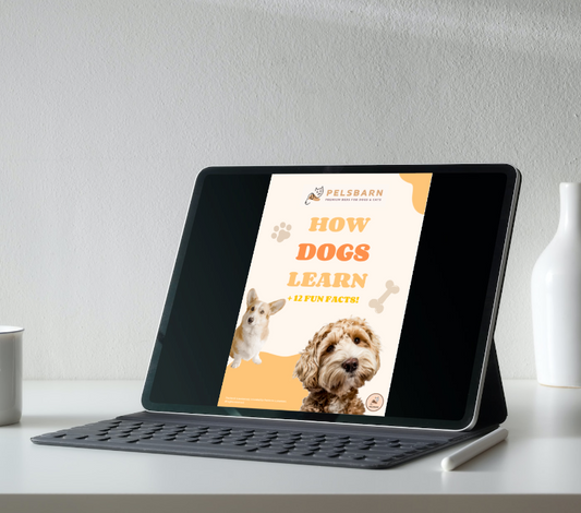 FREE - How Dogs Learn Ebook