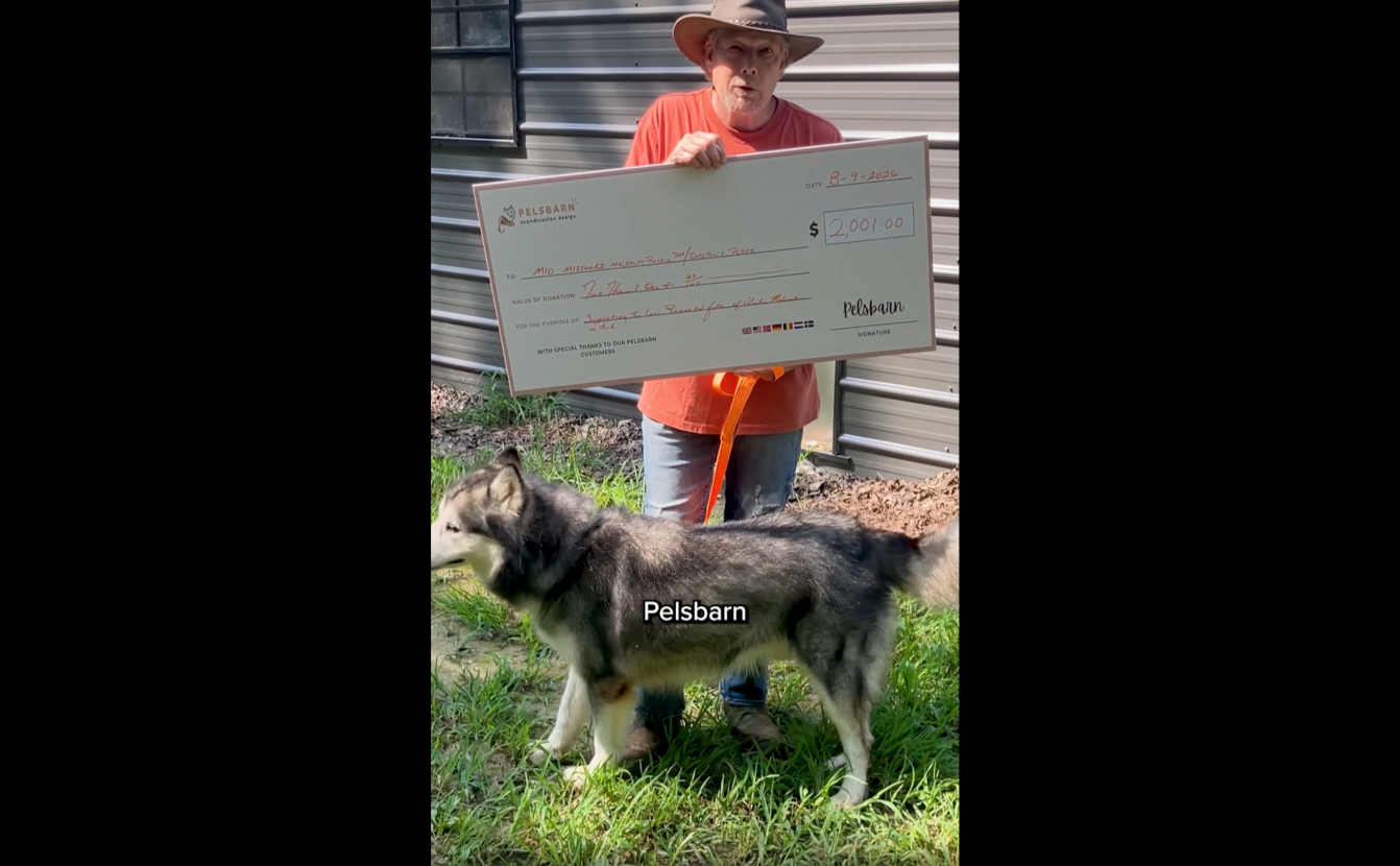 Cargar video: Pelsbarn Donates to K9s For Warriors | Every Dog Bed Helps Save a Veteran’s Life
