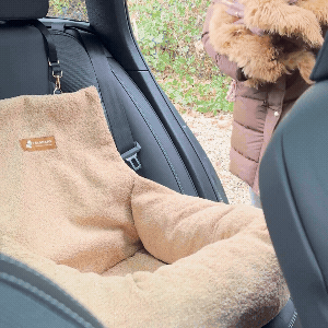 Teddy Car Bed ( 1+1 )