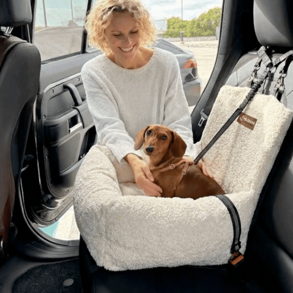 Teddy Car Bed ( 1+1 )