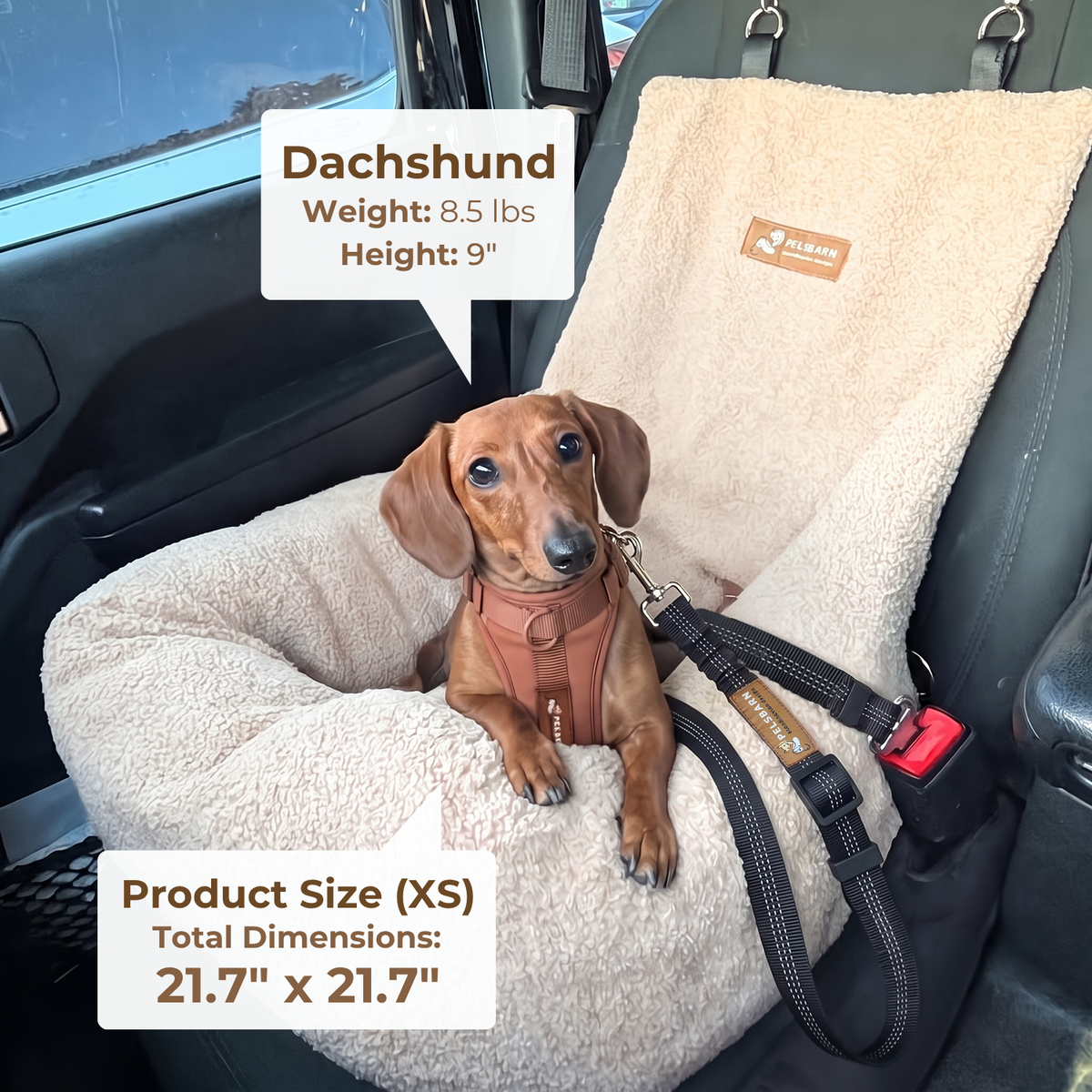 Teddy Car Bed