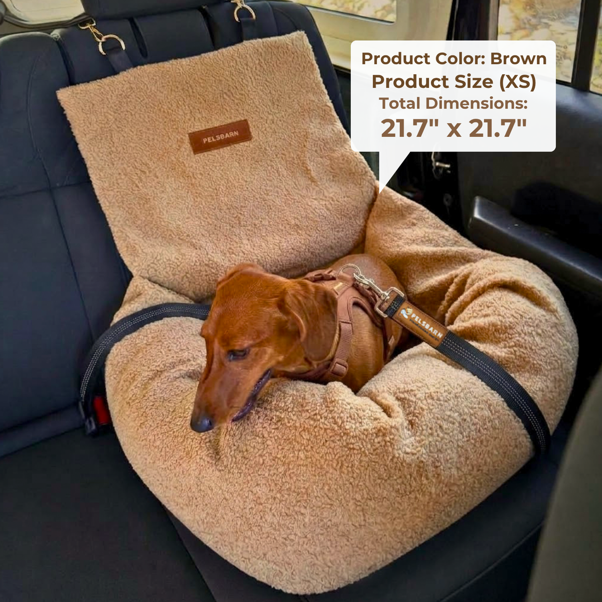 Teddy Car Bed