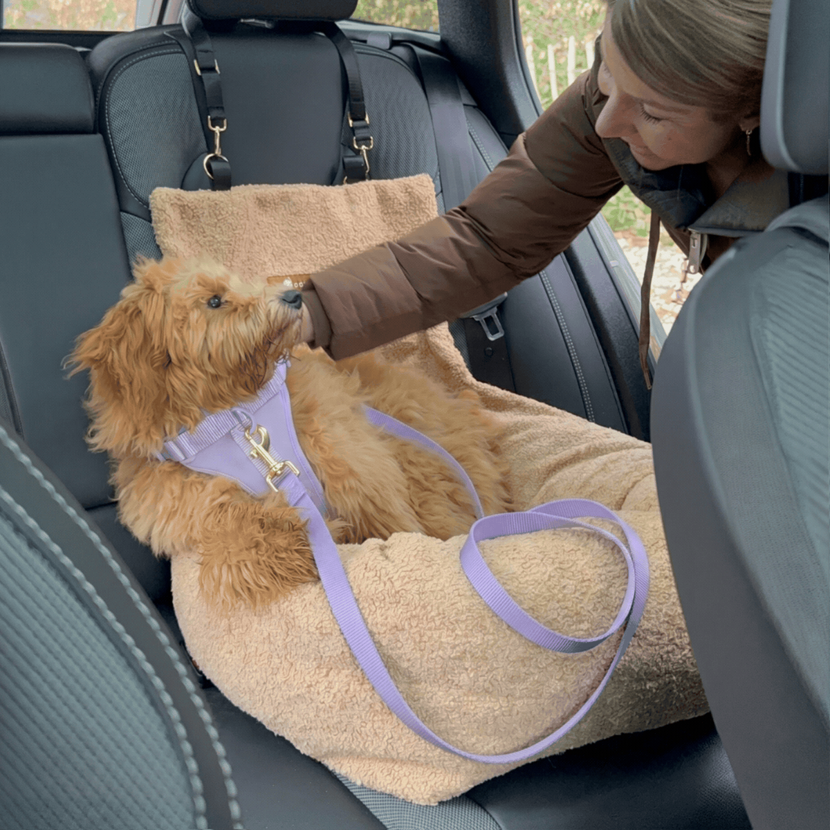 Teddy Car Bed