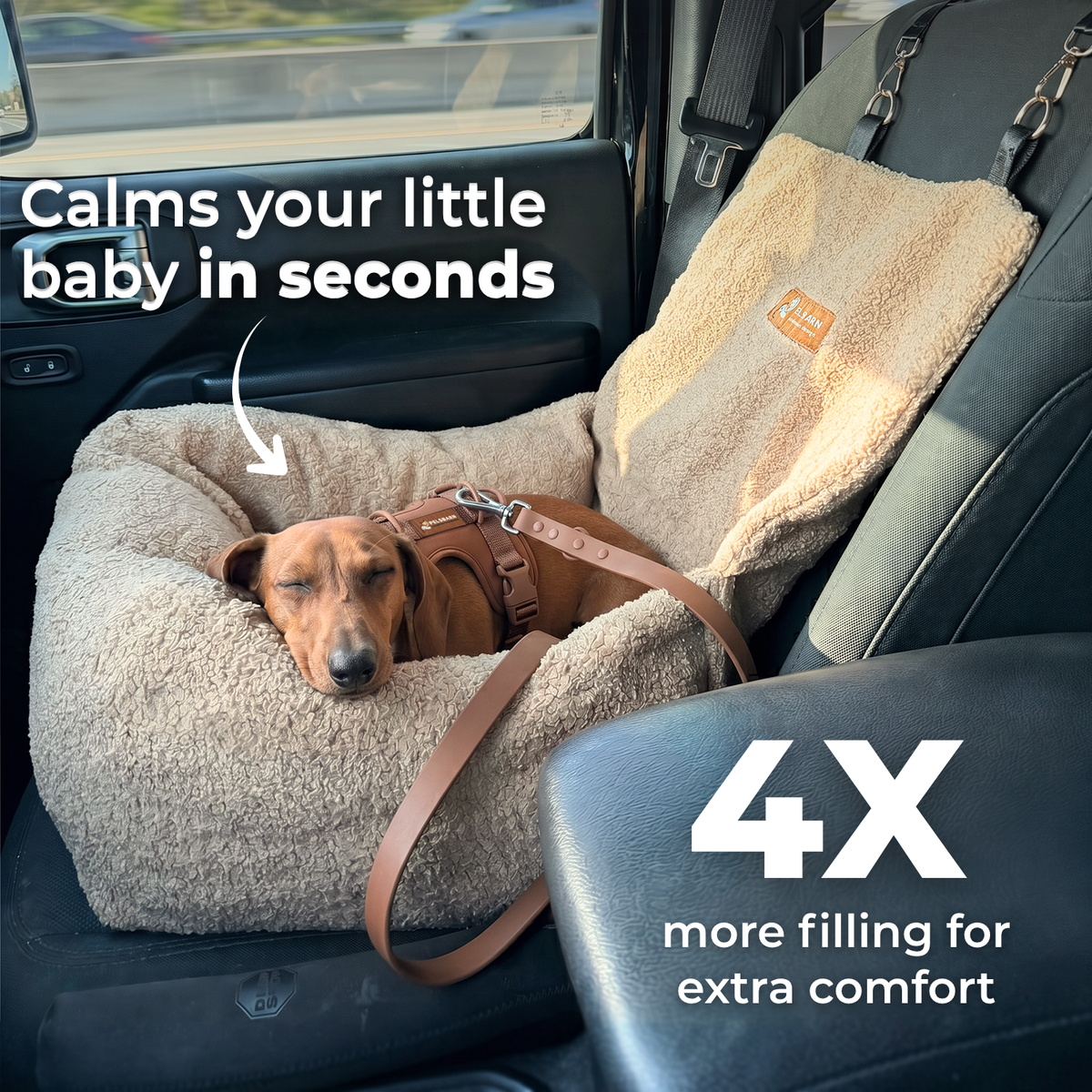 Teddy Car Bed