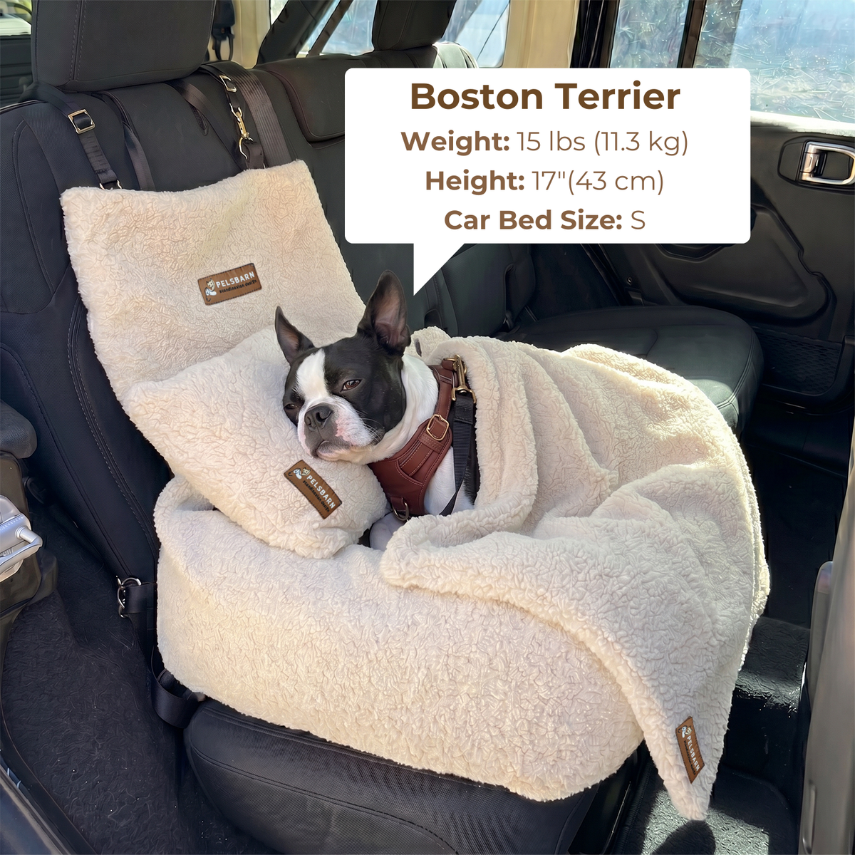 Teddy Car Bed