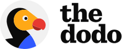 The Dodo