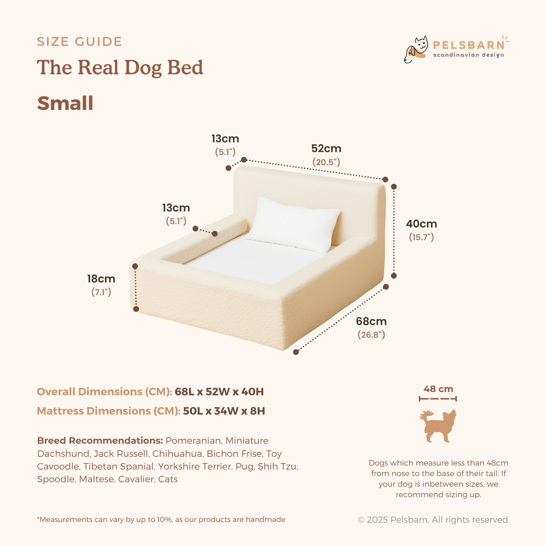REAL orthopedic bed for dogs