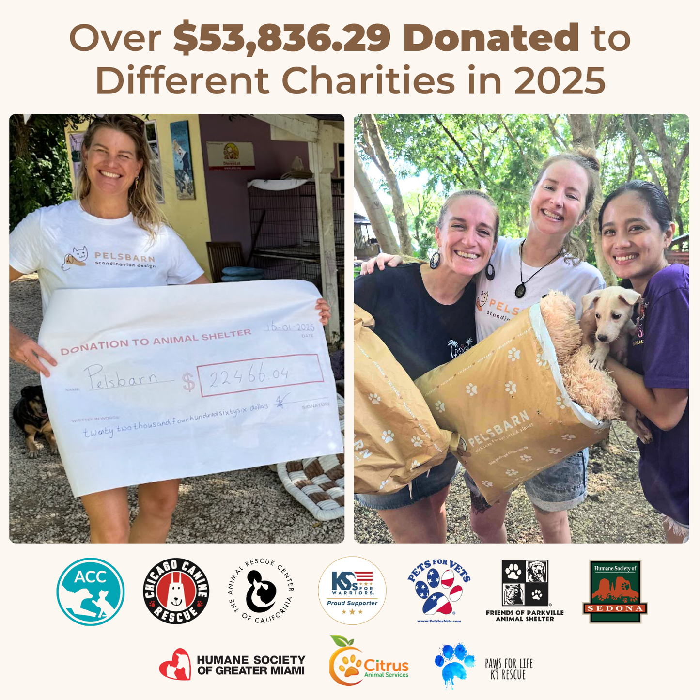 The Snugg Calming Dog Bed (1+1)