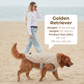 Dog Cooling Vest