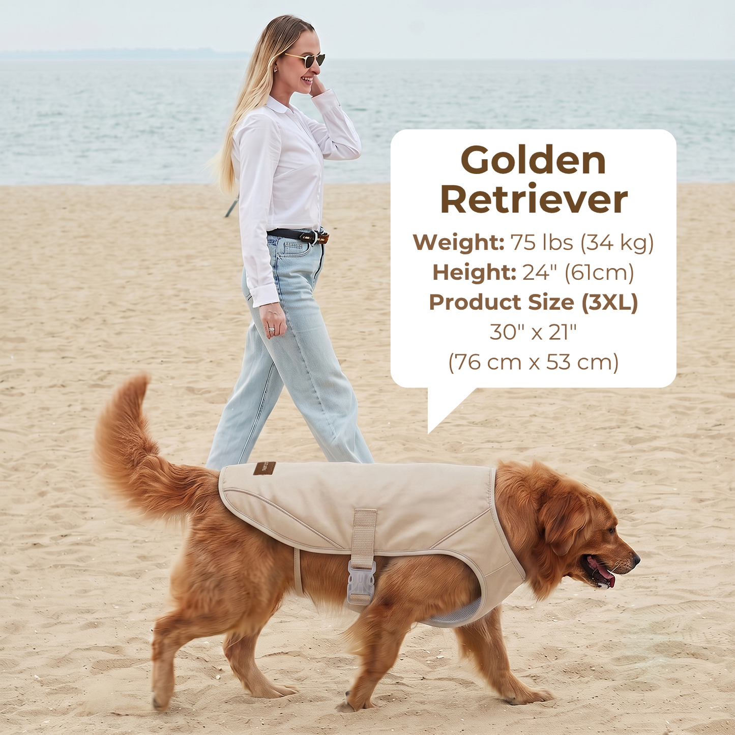 Dog Cooling Vest