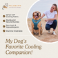 Dog Cooling Vest