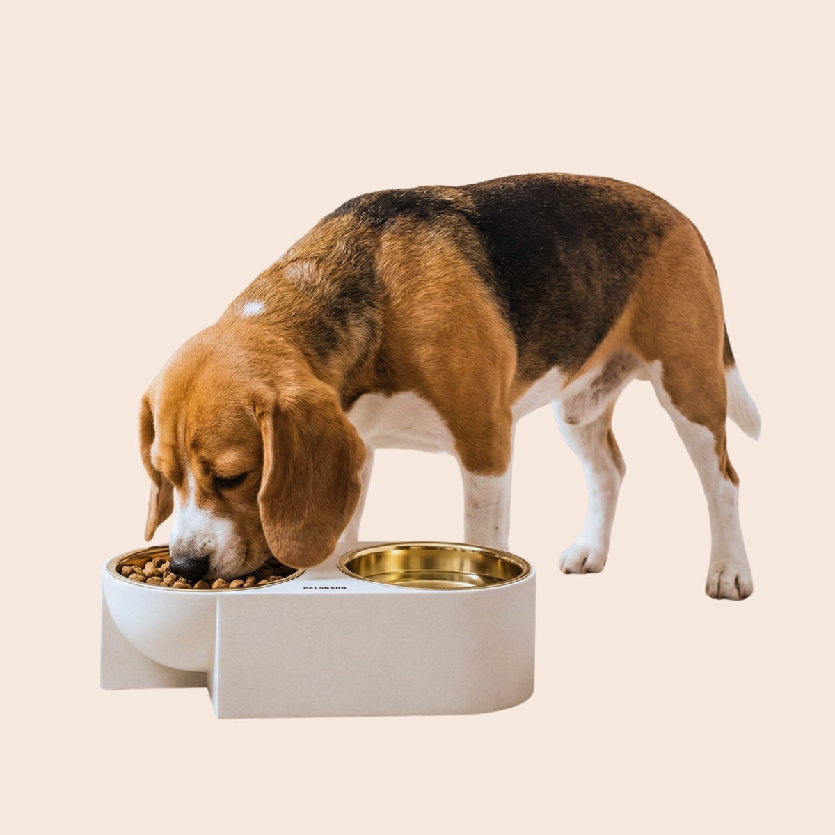 Dual Dinner Bowl