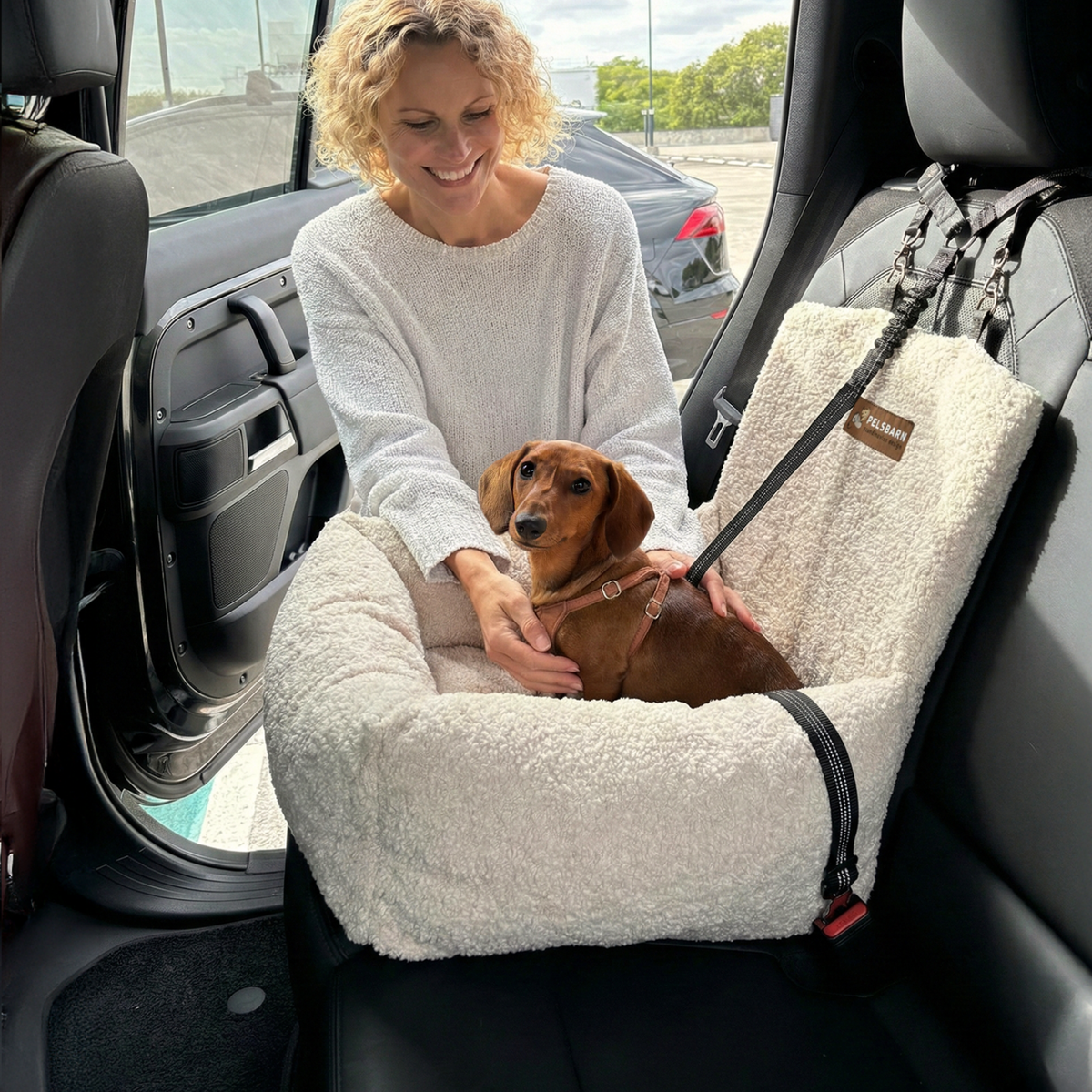 Teddy Car Bed