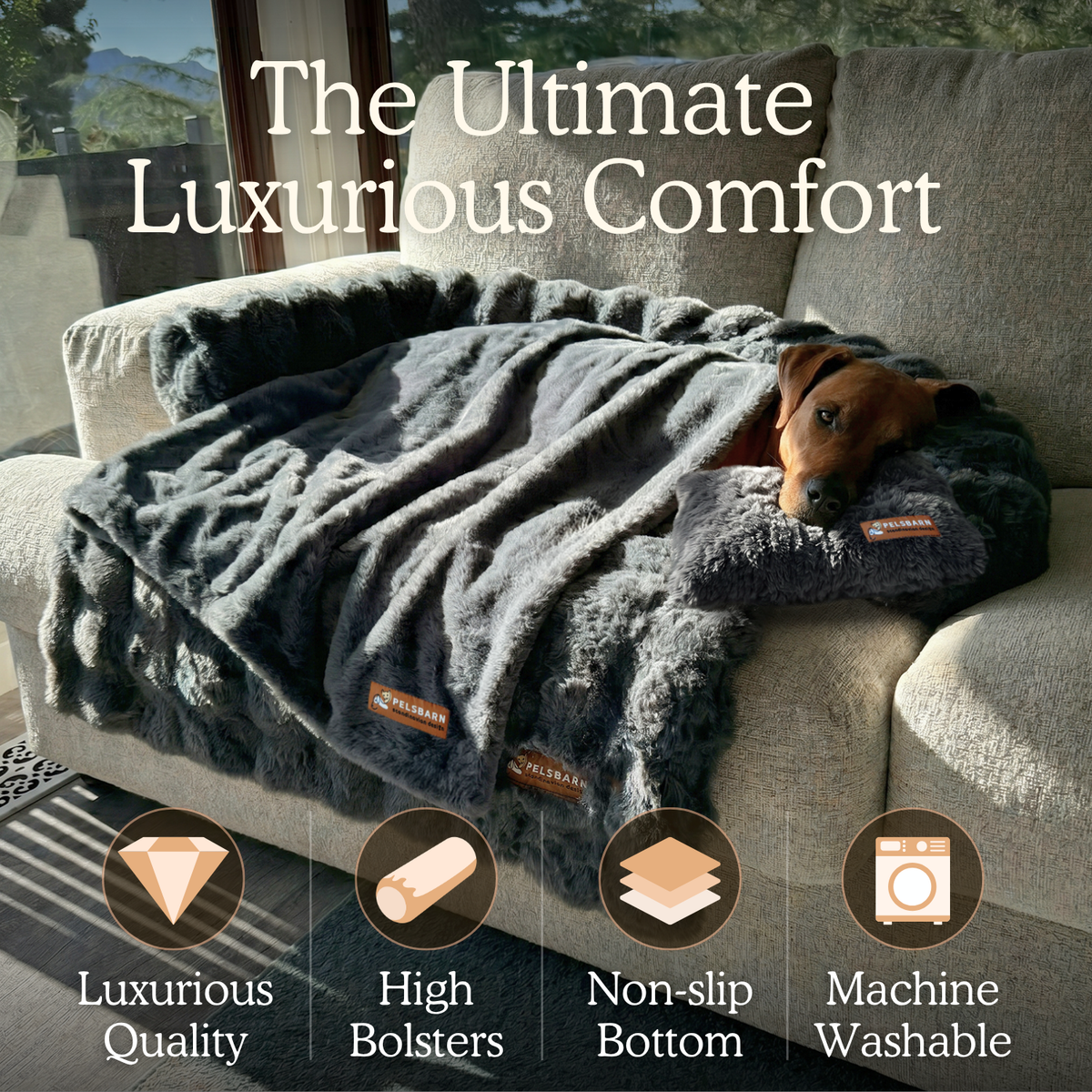 Luxurious Sofa Bed