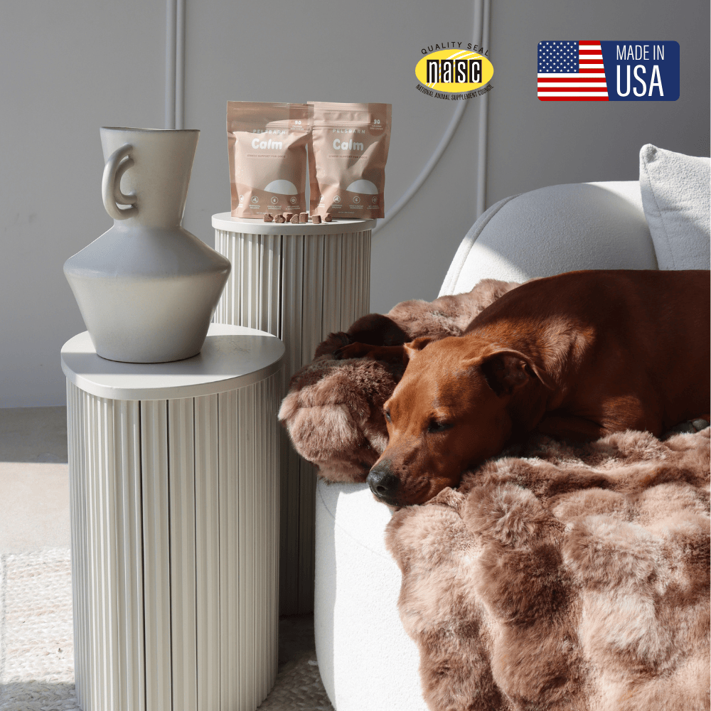 Pelsbarn Calming Chews