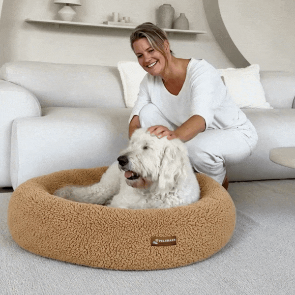 Teddy Donut Bed (1+1 )