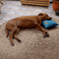 Cooling Pillow