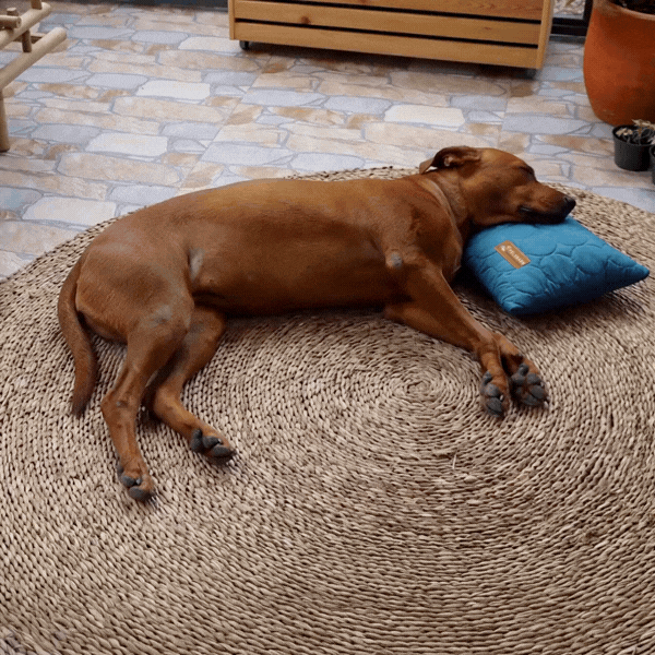 Cooling Pillow