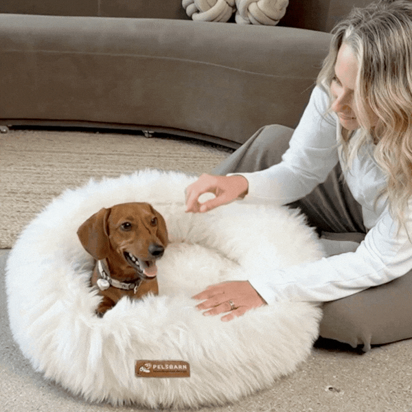 Snugg Dog Bed