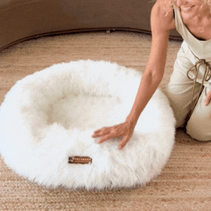 Snugg Dog Bed