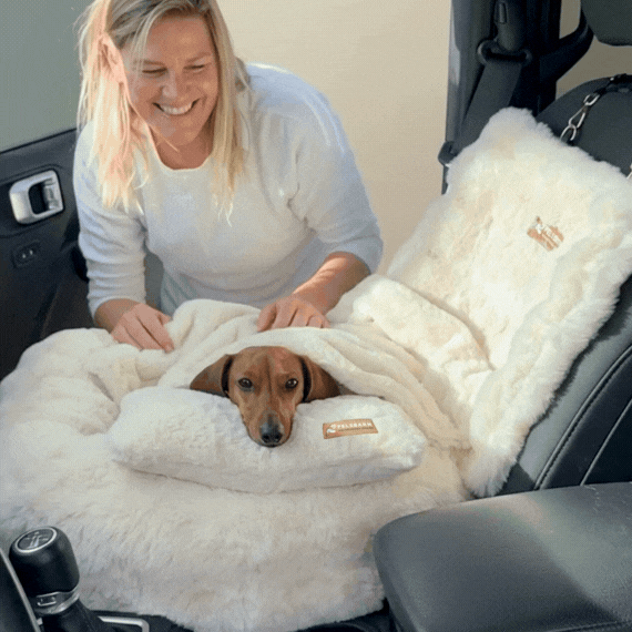 Luxurious Car Bed With Free Pillow & Blanket