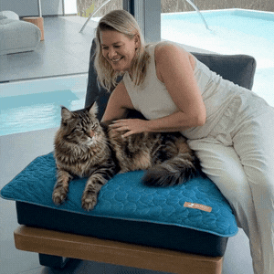 Pelsbarn Cooling Mat for Cats