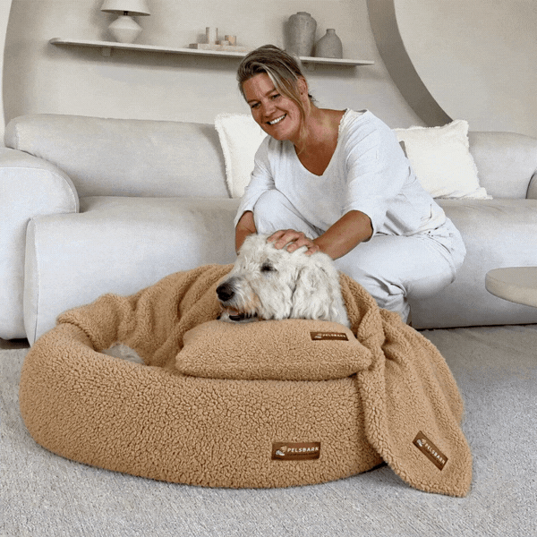 Teddy Donut Bed Bundle