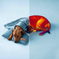 Pelsbarn Cooling Pillow & Sheet