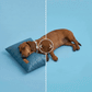 Cooling Pillow