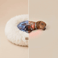 Snugg Dog Bed