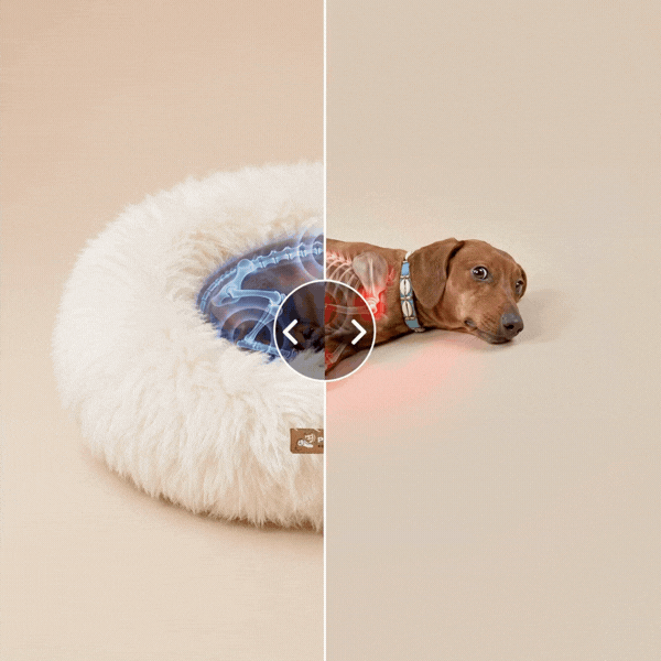 Snugg Dog Bed
