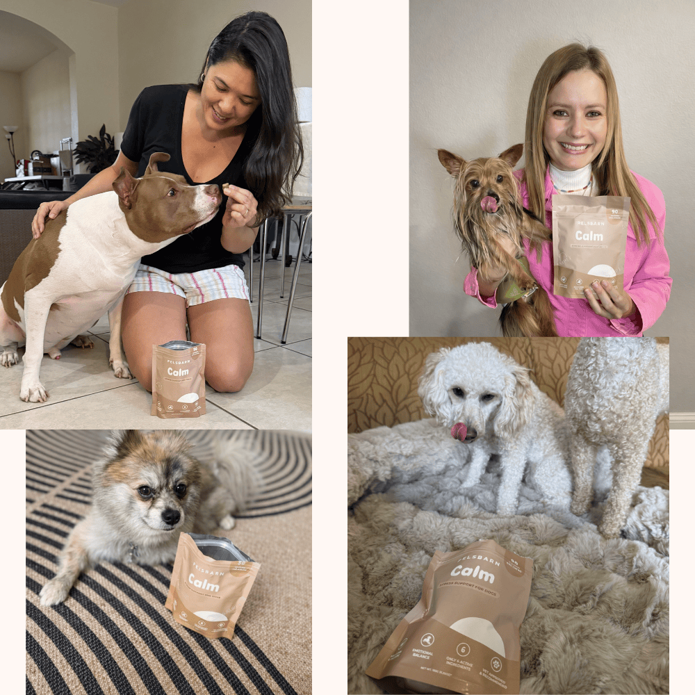 Pelsbarn Calming Chews