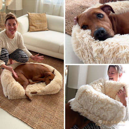 Comfy calming sales dog bed canada