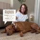 Calming Dog Diffuser