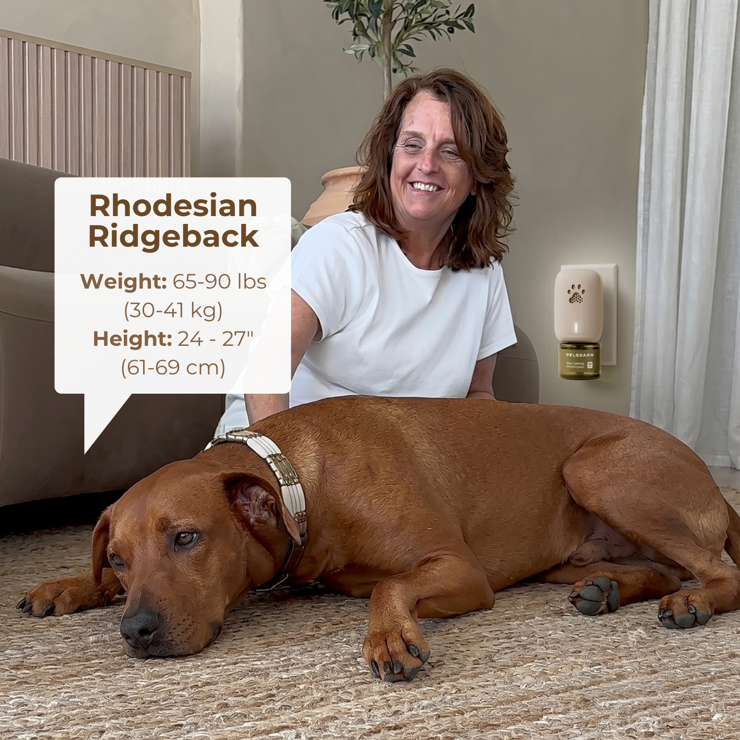 Calming Dog Diffuser