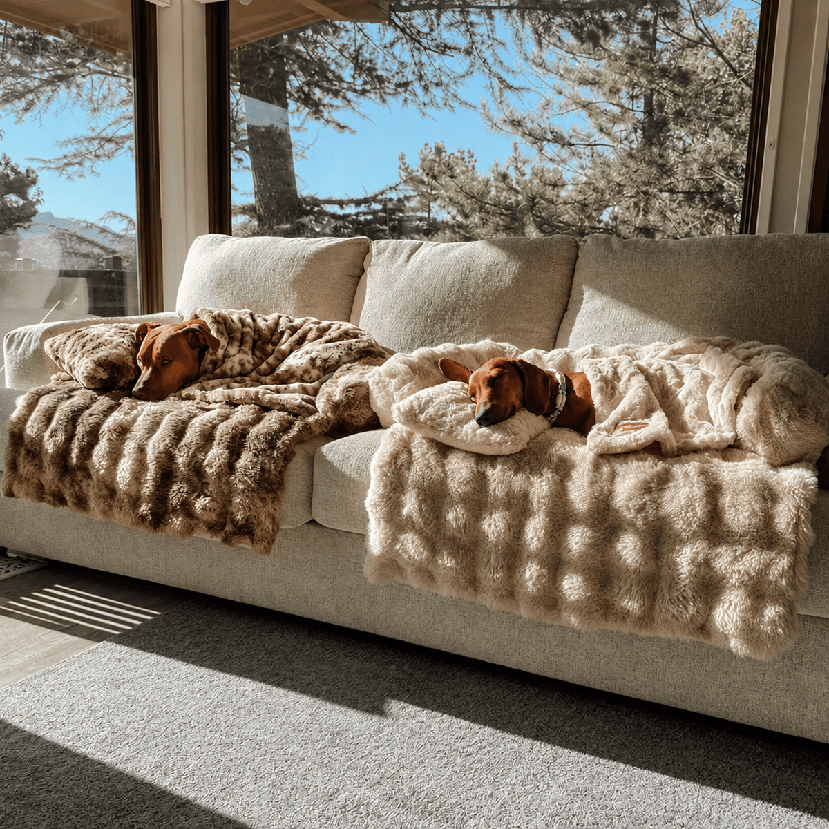 A dog asleep on a Pelsbarn bed at home