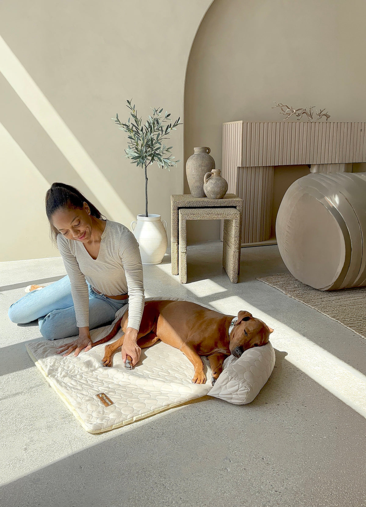 4 Reasons Dogs (and homes) Love It