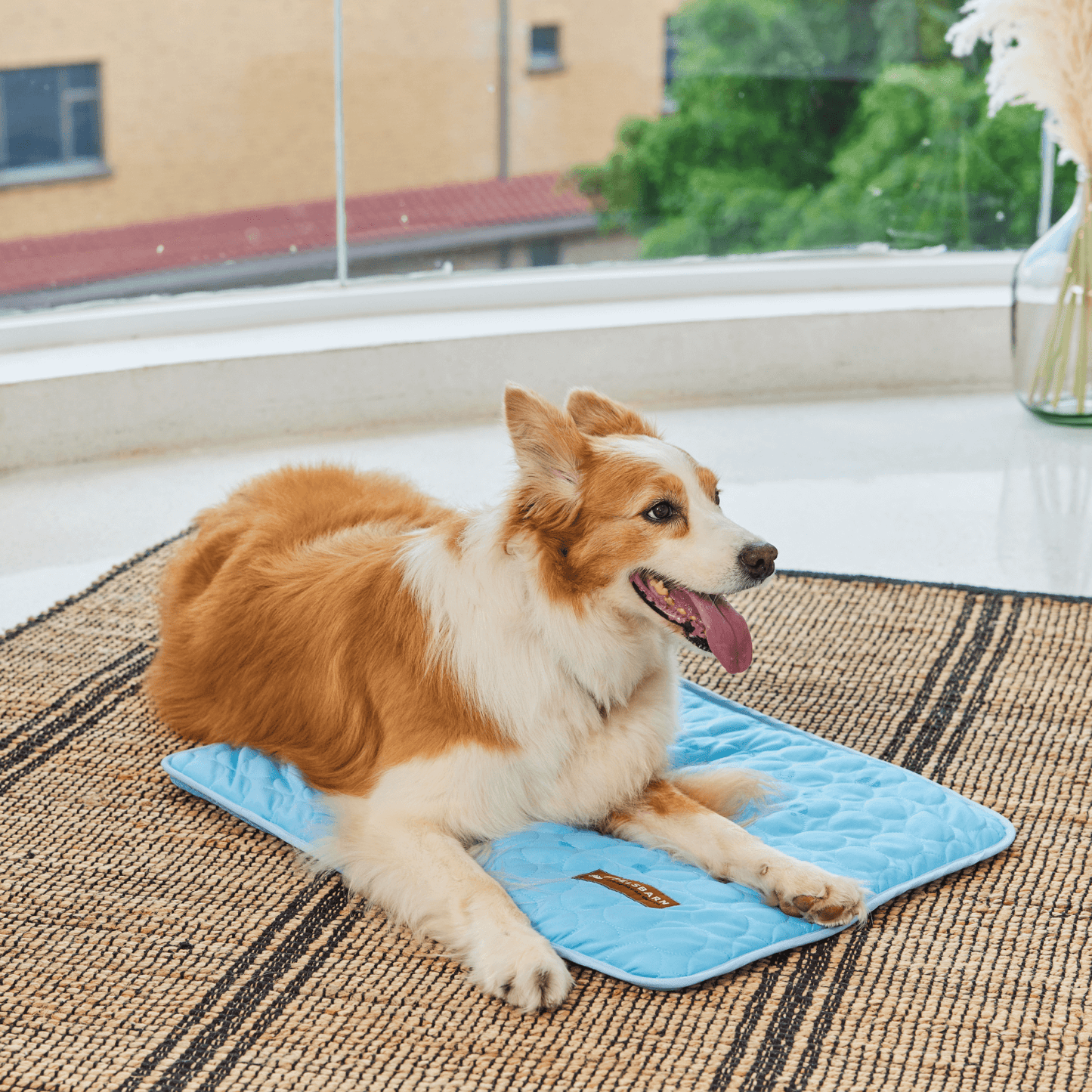 Pelsbarn Cooling Mat Bundle