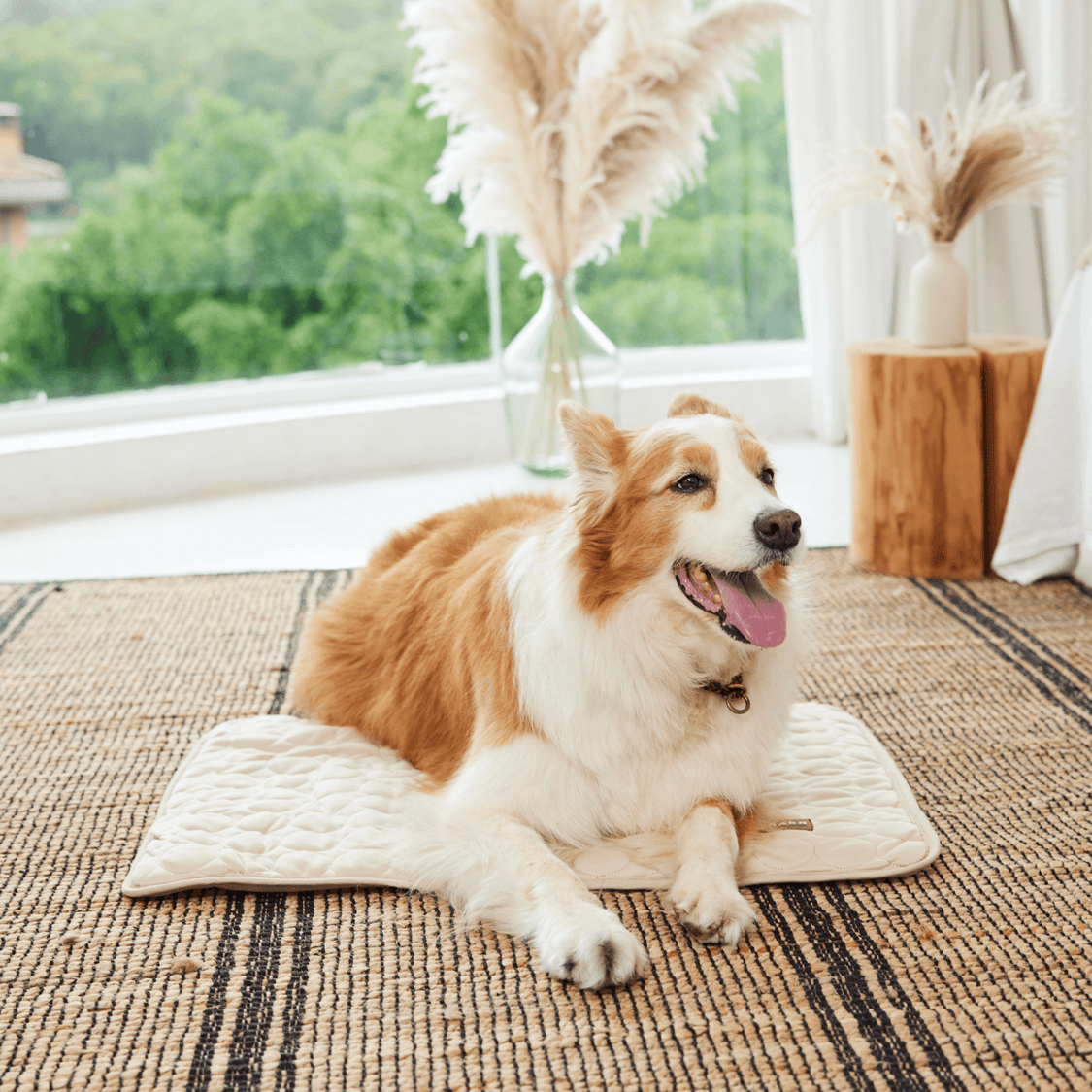 Pelsbarn Cooling Mat Bundle