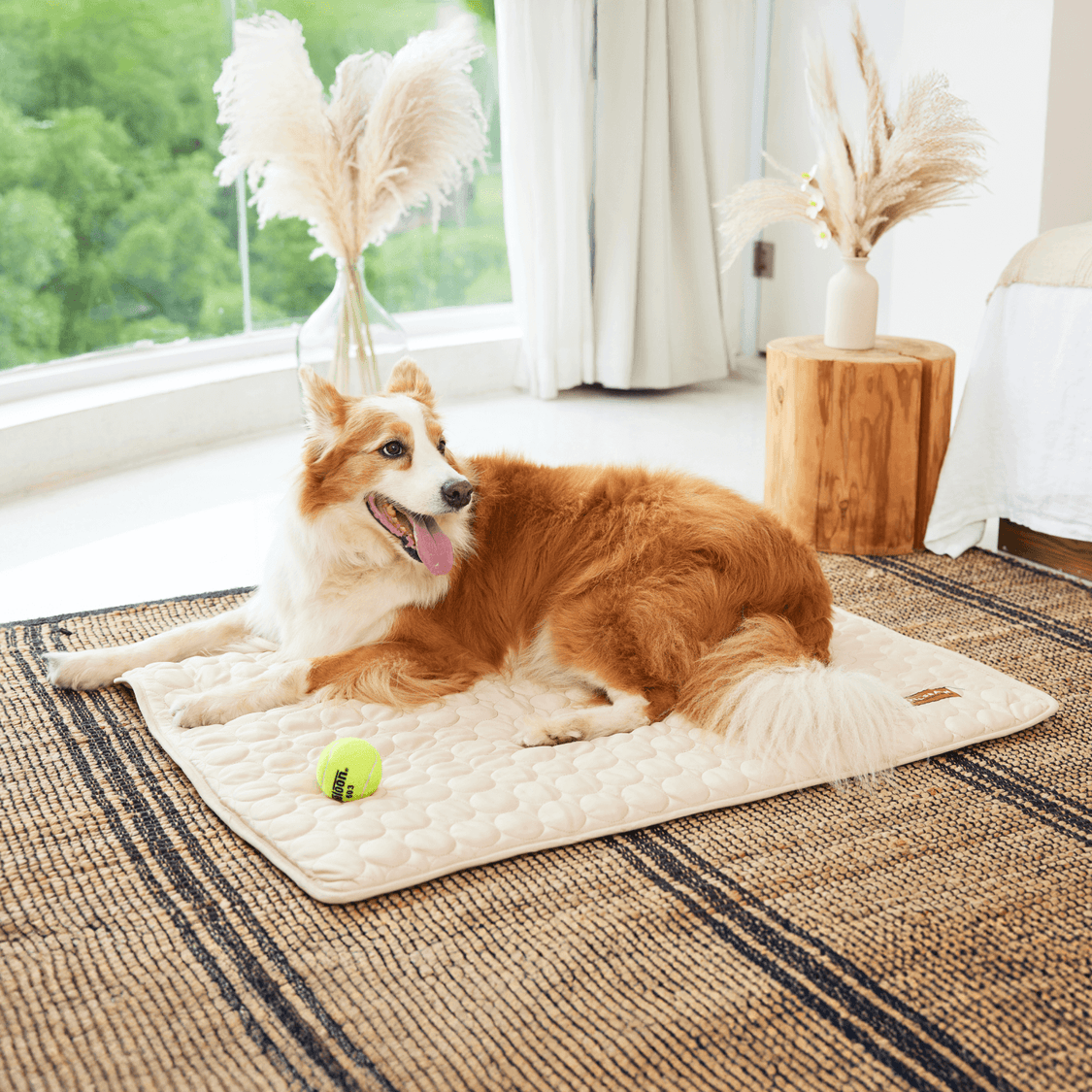Pelsbarn Cooling Mat Bundle