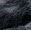 Poseidon