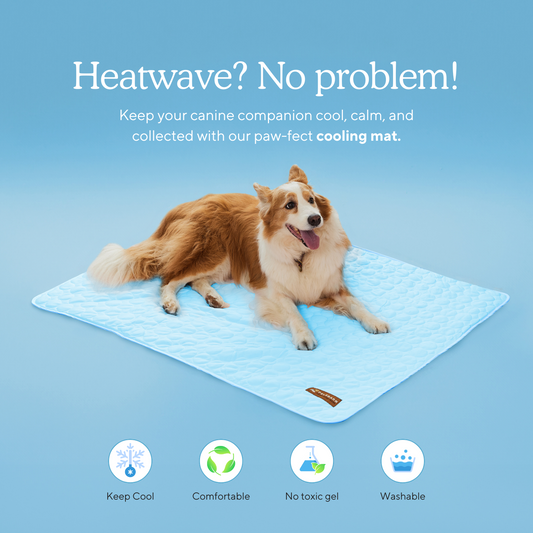 FREE - Cooling Mat ($59 value)