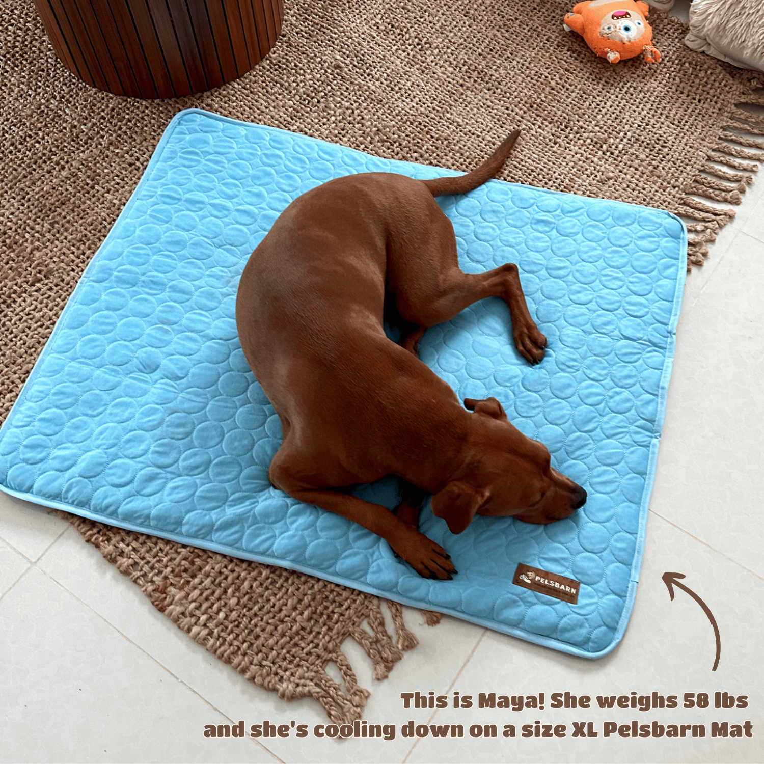 Paw pride self 2024 cooling pet mat